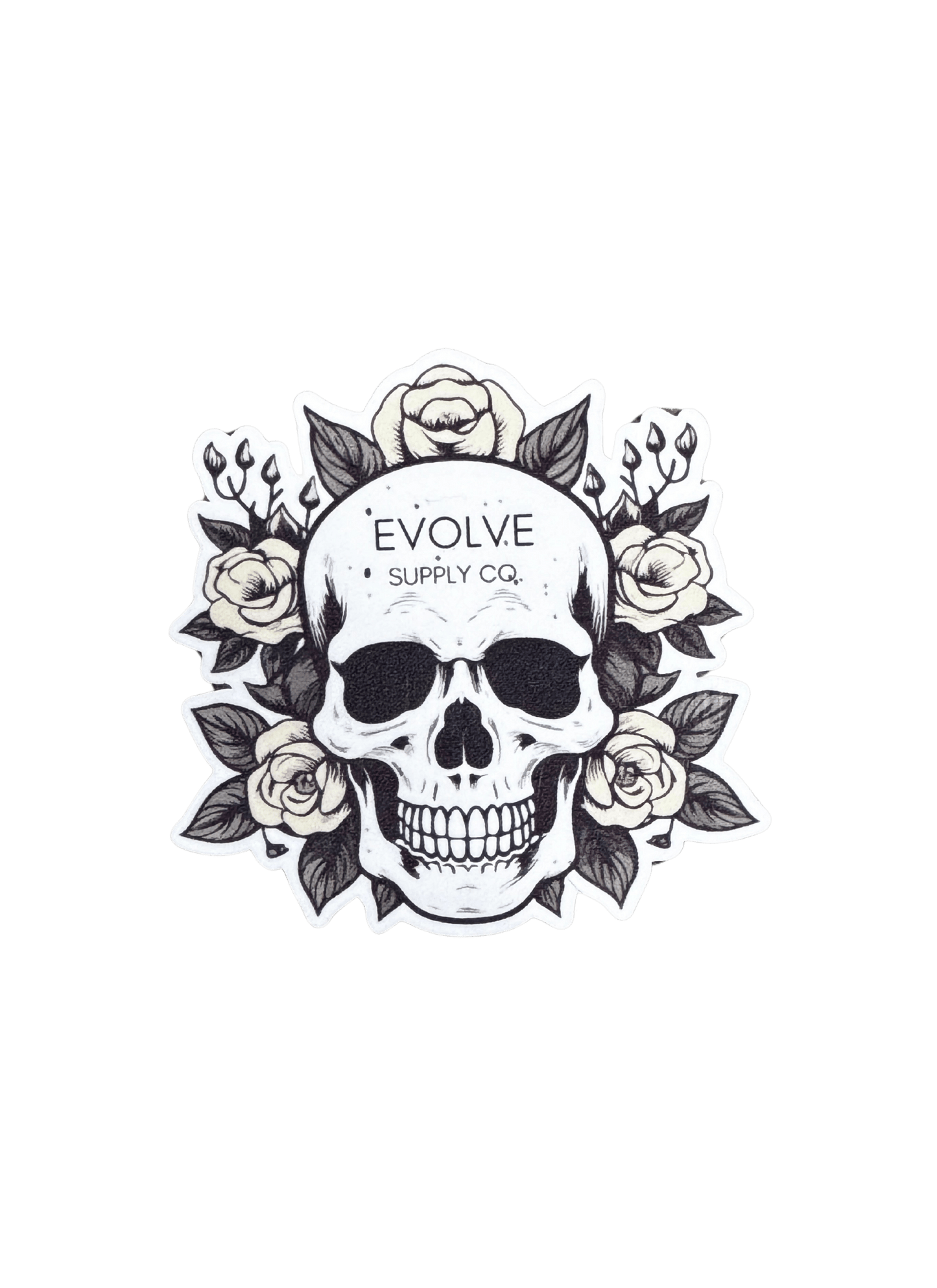 Assorted Stickers - Evolve Supply Co. Evolve Supply Co.