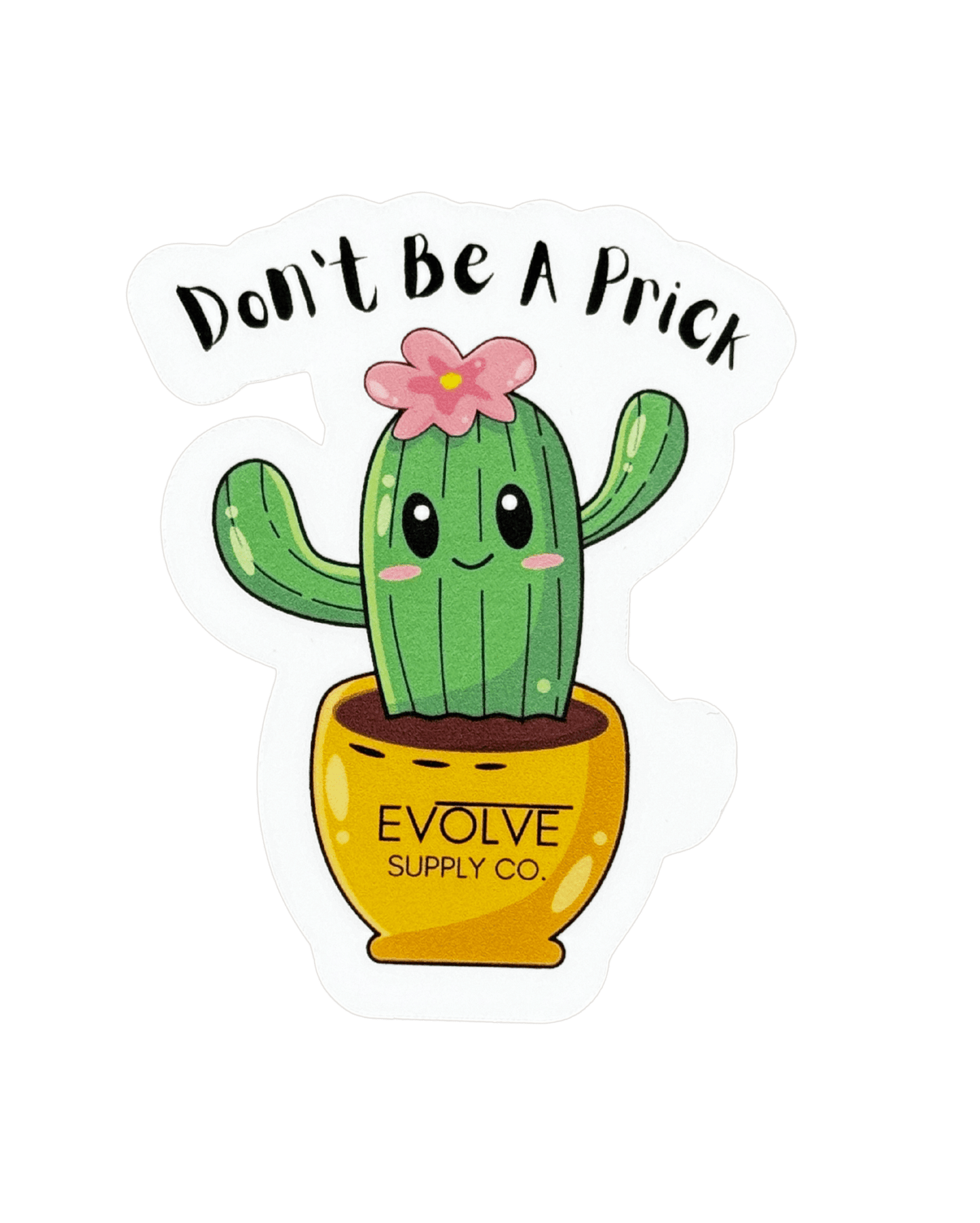 Assorted Stickers - Evolve Supply Co. Evolve Supply Co.
