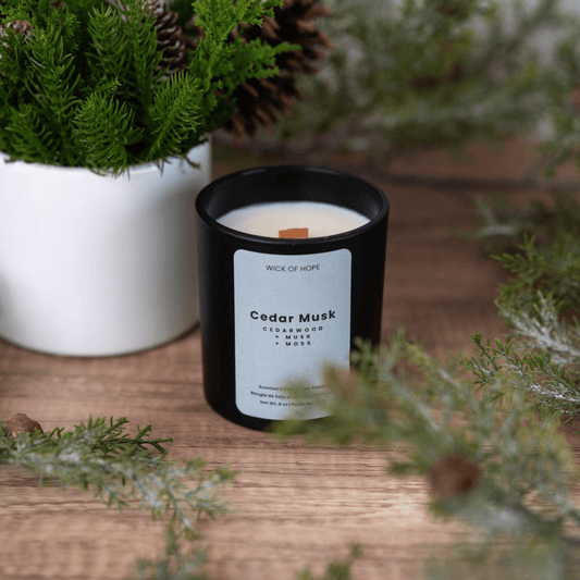 Cedar Musk Candle | Cedarwood + Moss - Evolve Supply Co. Evolve Supply Co.
