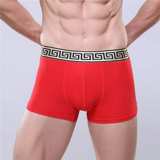 Men's Cotton Boxer Briefs Casual Solid Color Mid Waist underwear - Evolve Supply Co. Evolve Supply Co.