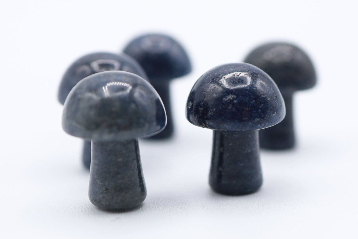 Mini Mushrooms - Evolve Supply Co. Evolve Supply Co.
