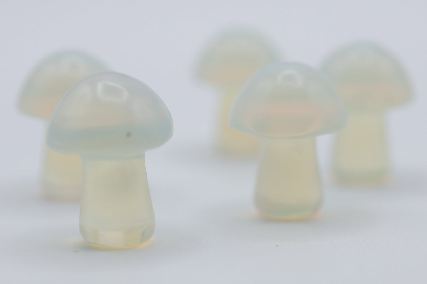Mini Mushrooms - Evolve Supply Co. Evolve Supply Co.