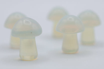 Mini Mushrooms - Evolve Supply Co. Evolve Supply Co.
