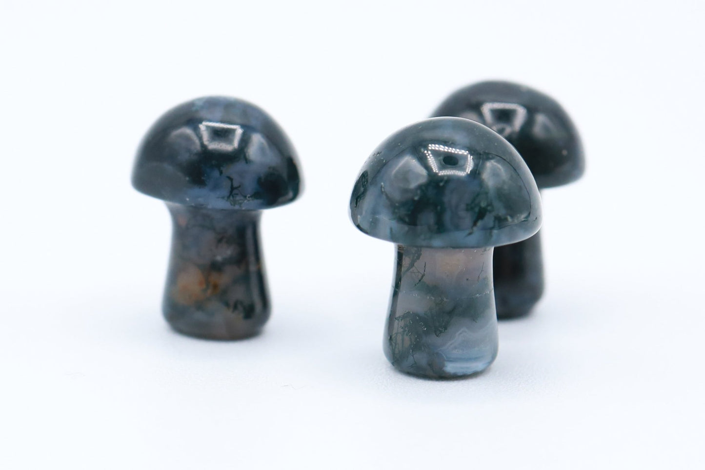 Mini Mushrooms - Evolve Supply Co. Evolve Supply Co.