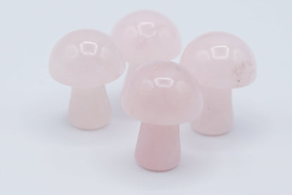 Mini Mushrooms - Evolve Supply Co. Evolve Supply Co.