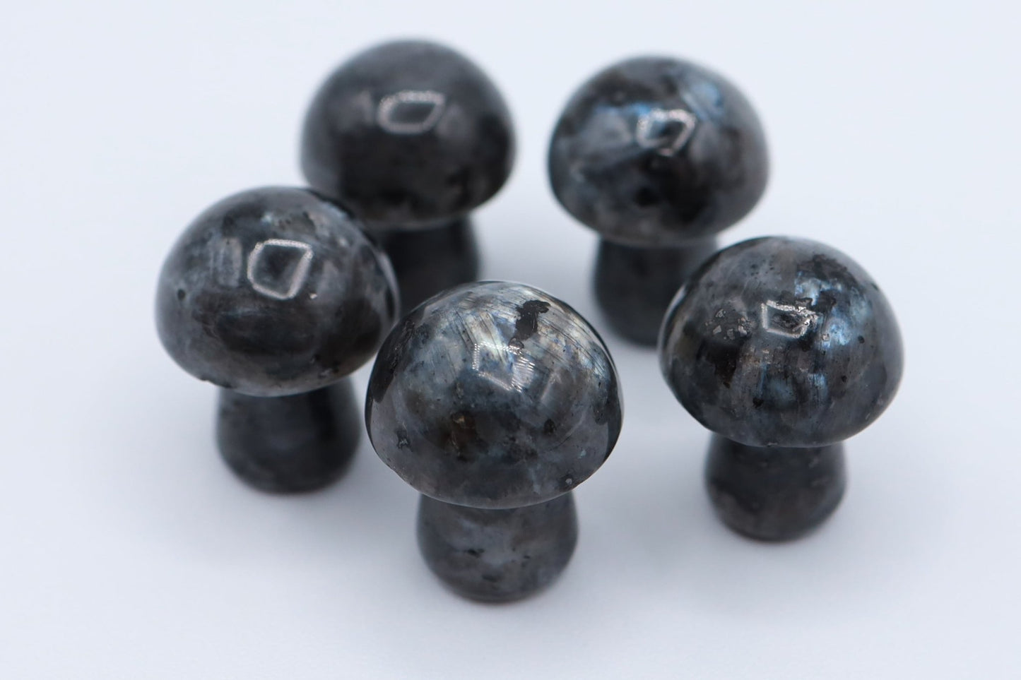 Mini Mushrooms - Evolve Supply Co. Evolve Supply Co.