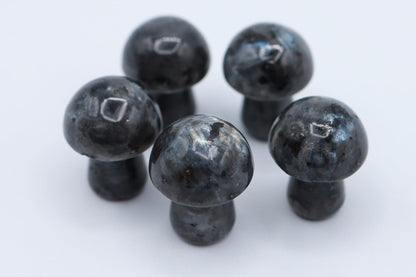 Mini Mushrooms - Evolve Supply Co. Evolve Supply Co.