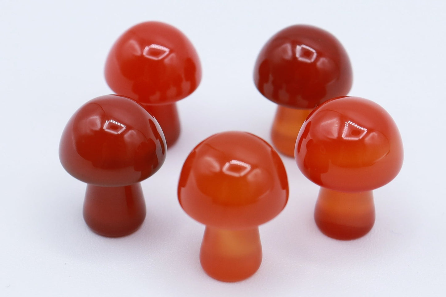 Mini Mushrooms - Evolve Supply Co. Evolve Supply Co.