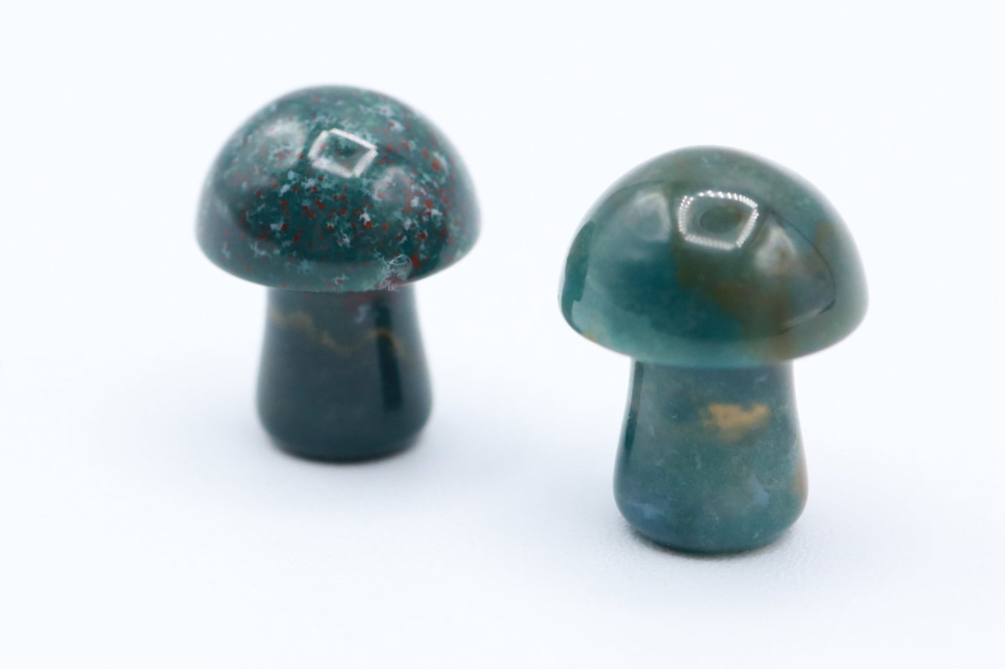 Mini Mushrooms - Evolve Supply Co. Evolve Supply Co.
