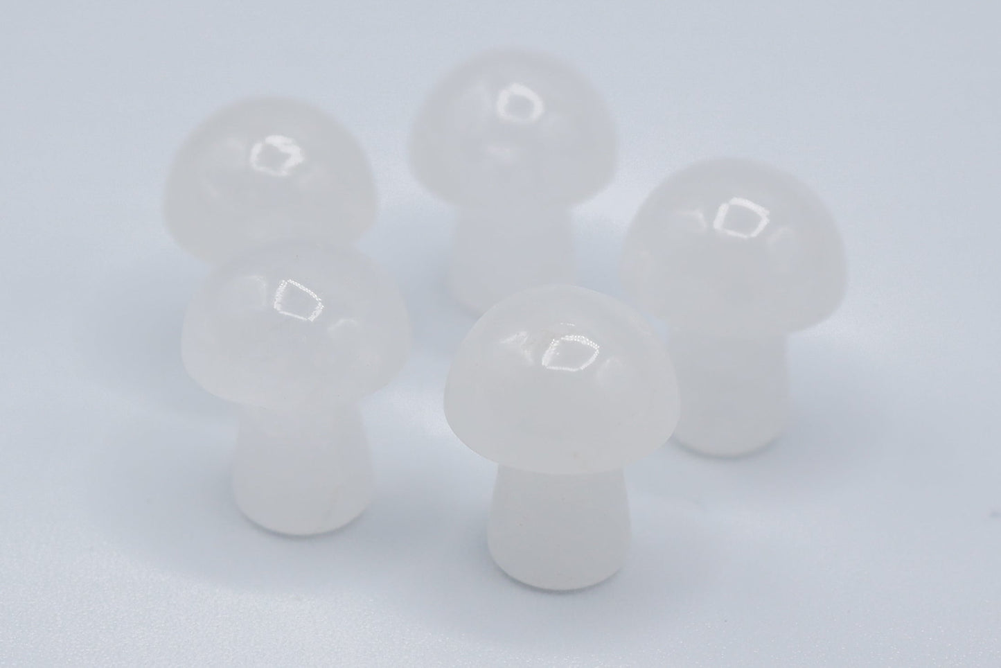 Mini Mushrooms - Evolve Supply Co. Evolve Supply Co.