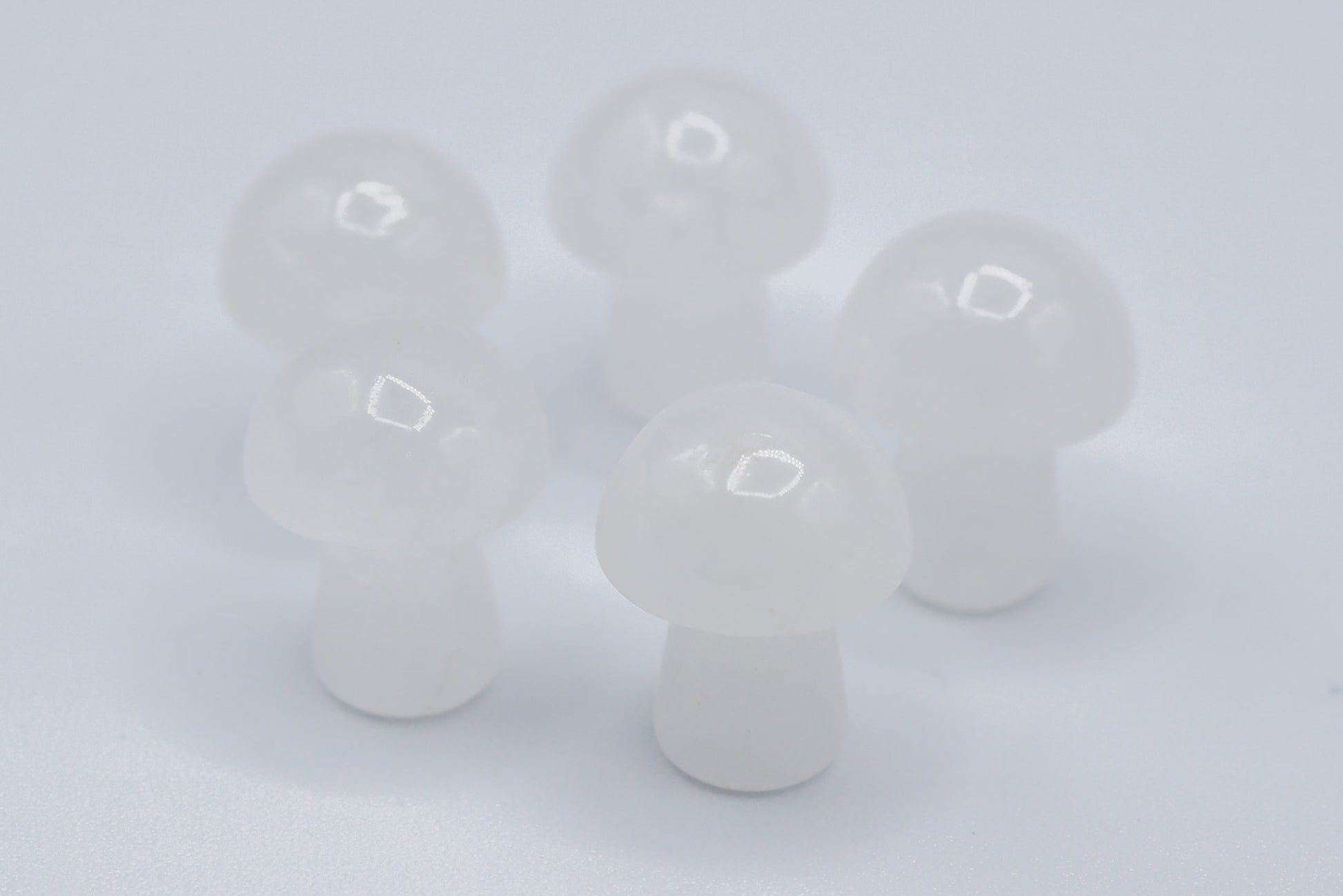 Mini Mushrooms - Evolve Supply Co. Evolve Supply Co.