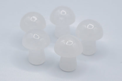 Mini Mushrooms - Evolve Supply Co. Evolve Supply Co.