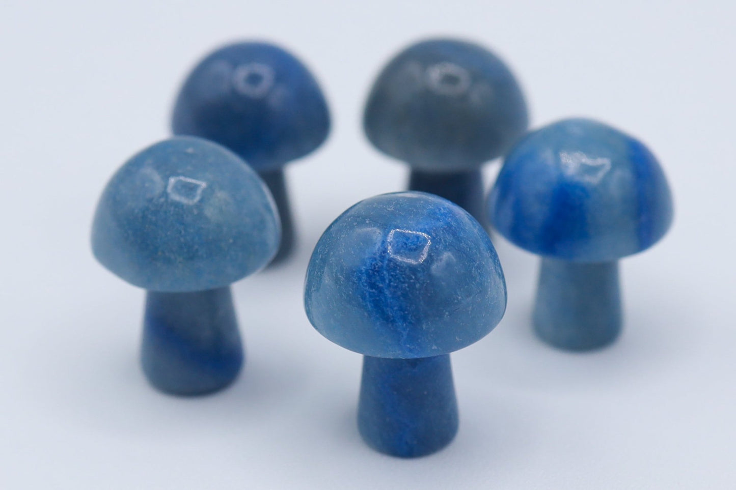 Mini Mushrooms - Evolve Supply Co. Evolve Supply Co.