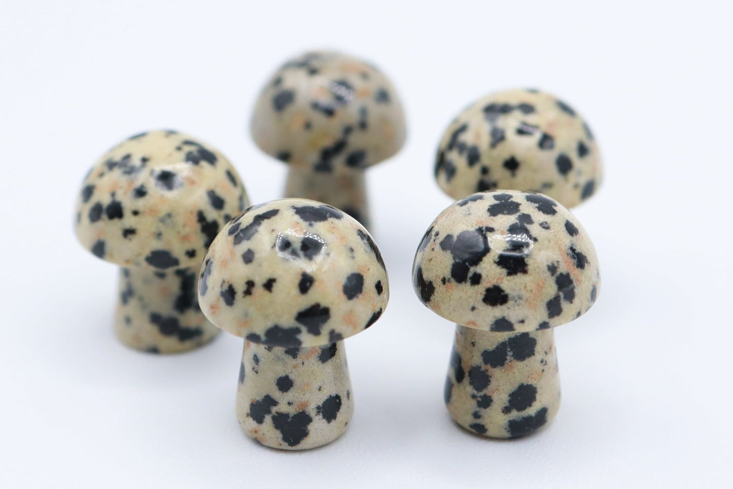 Mini Mushrooms - Evolve Supply Co. Evolve Supply Co.