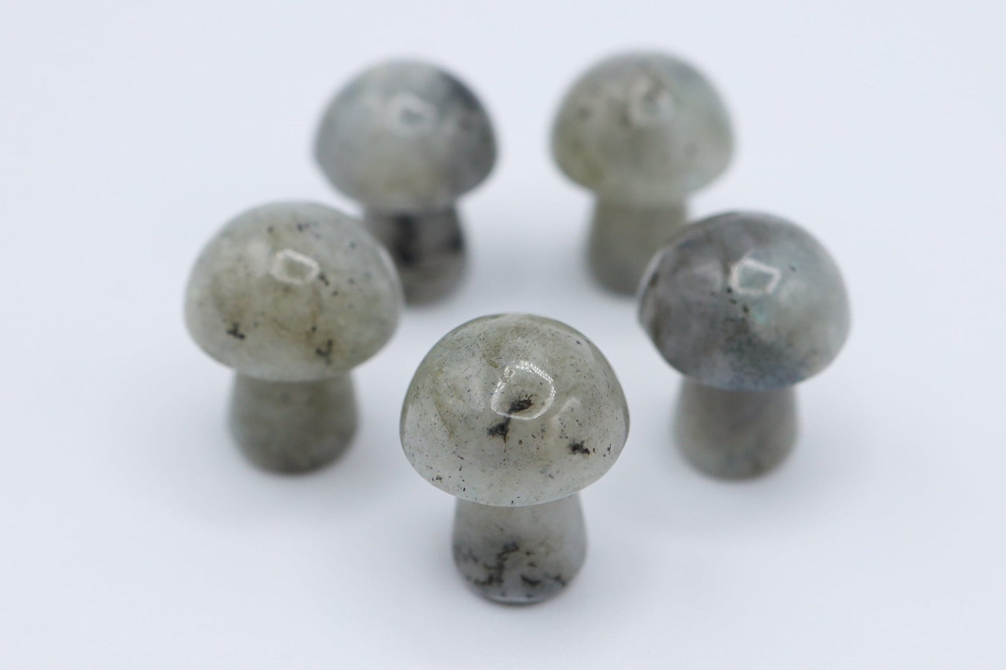 Mini Mushrooms - Evolve Supply Co. Evolve Supply Co.