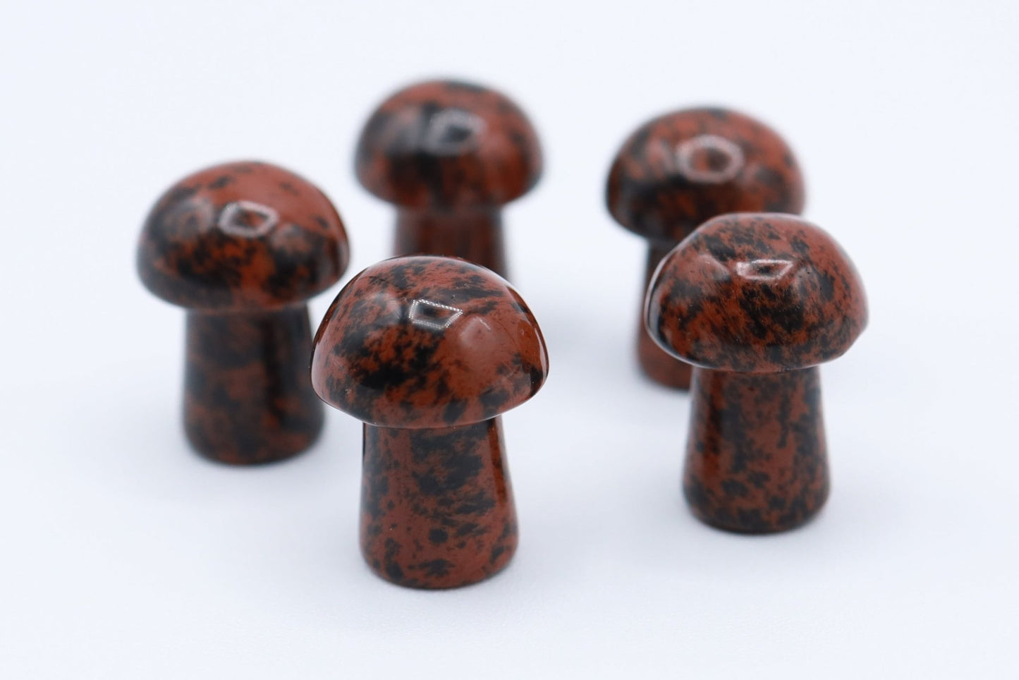 Mini Mushrooms - Evolve Supply Co. Evolve Supply Co.