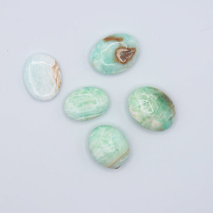 Mini Palmstones - Evolve Supply Co. Evolve Supply Co.