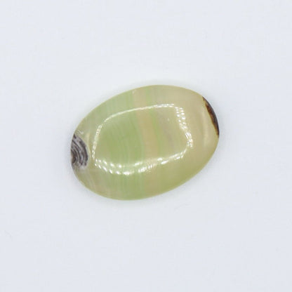 Mini Palmstones - Evolve Supply Co. Evolve Supply Co.