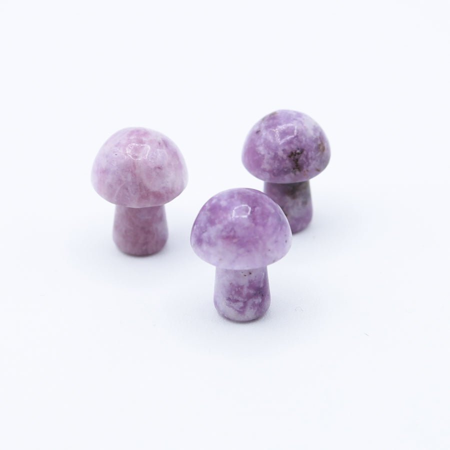 Mini Mushrooms - Evolve Supply Co. Evolve Supply Co.