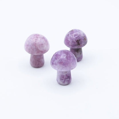 Mini Mushrooms - Evolve Supply Co. Evolve Supply Co.