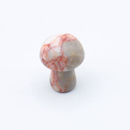 Mini Mushrooms - Evolve Supply Co. Evolve Supply Co.