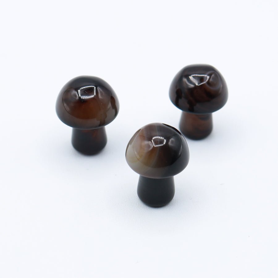 Mini Mushrooms - Evolve Supply Co. Evolve Supply Co.