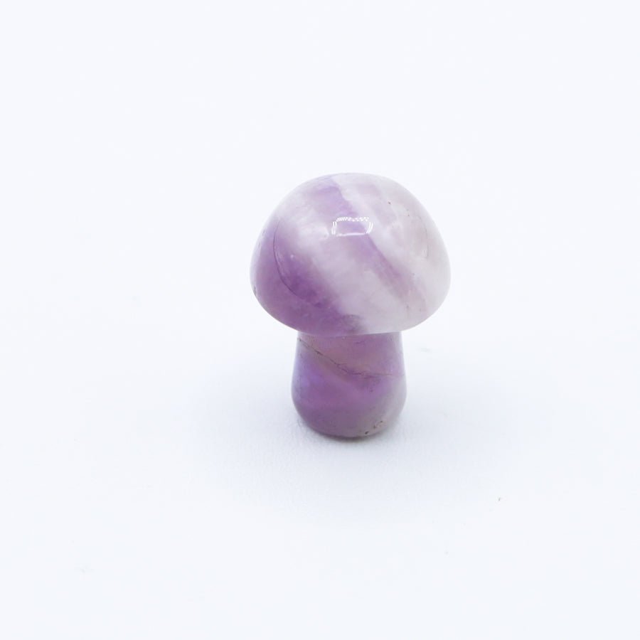 Mini Mushrooms - Evolve Supply Co. Evolve Supply Co.