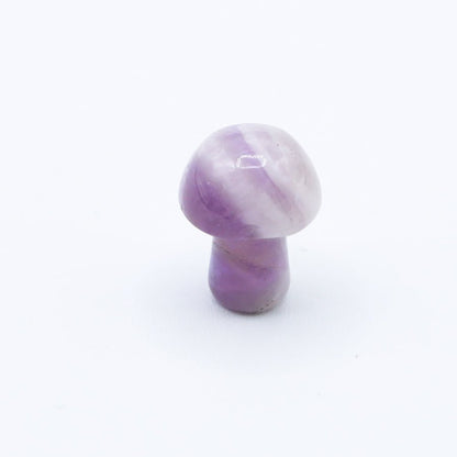 Mini Mushrooms - Evolve Supply Co. Evolve Supply Co.