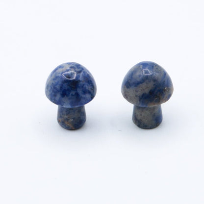 Mini Mushrooms - Evolve Supply Co. Evolve Supply Co.