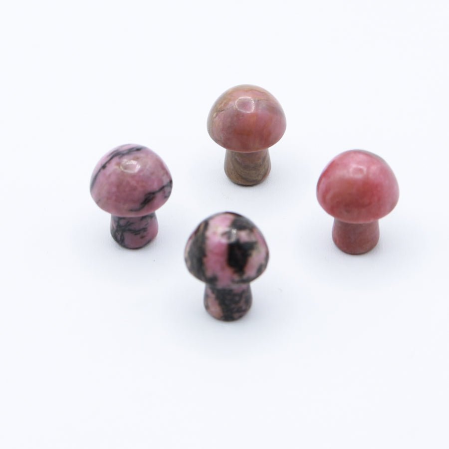 Mini Mushrooms - Evolve Supply Co. Evolve Supply Co.