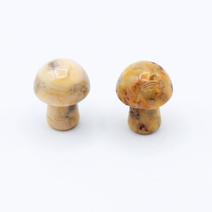 Mini Mushrooms - Evolve Supply Co. Evolve Supply Co.