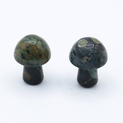 Mini Mushrooms - Evolve Supply Co. Evolve Supply Co.