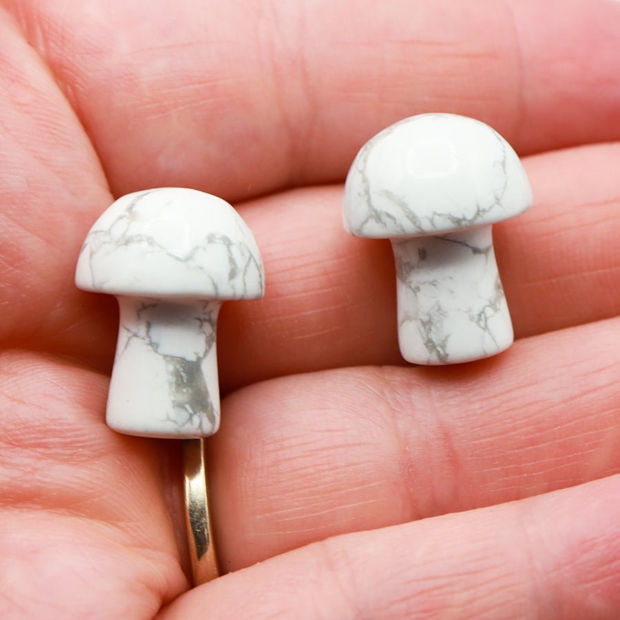 Mini Mushrooms - Evolve Supply Co. Evolve Supply Co.