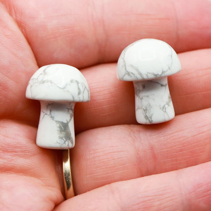 Mini Mushrooms - Evolve Supply Co. Evolve Supply Co.