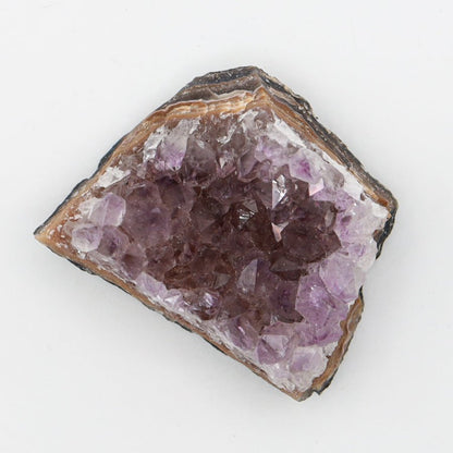 Amethyst Cluster - Evolve Supply Co. Evolve Supply Co.