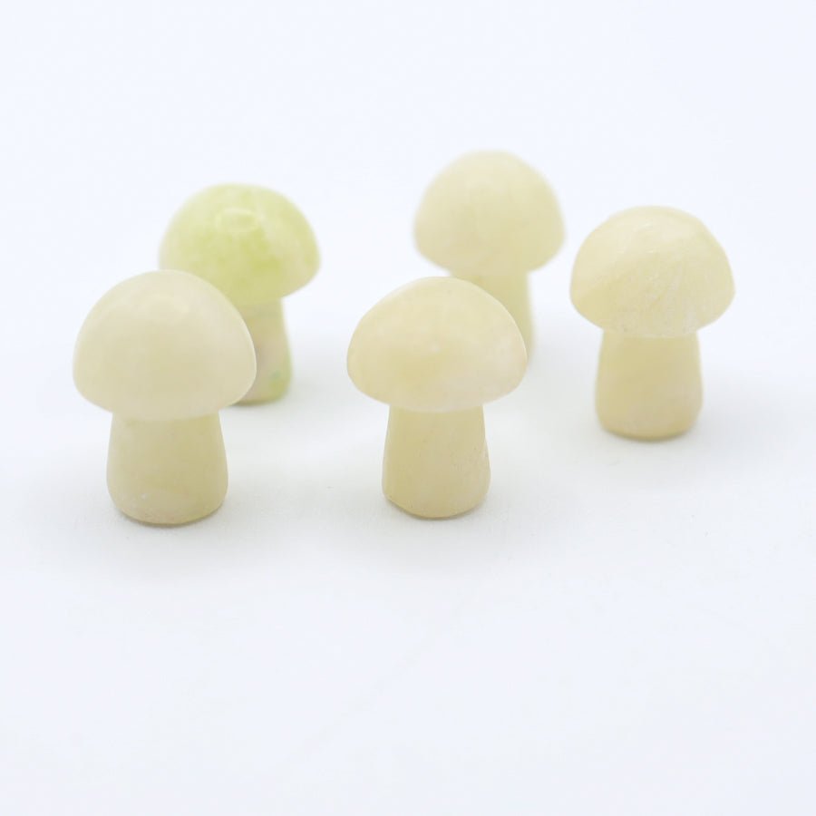 Mini Mushrooms - Evolve Supply Co. Evolve Supply Co.