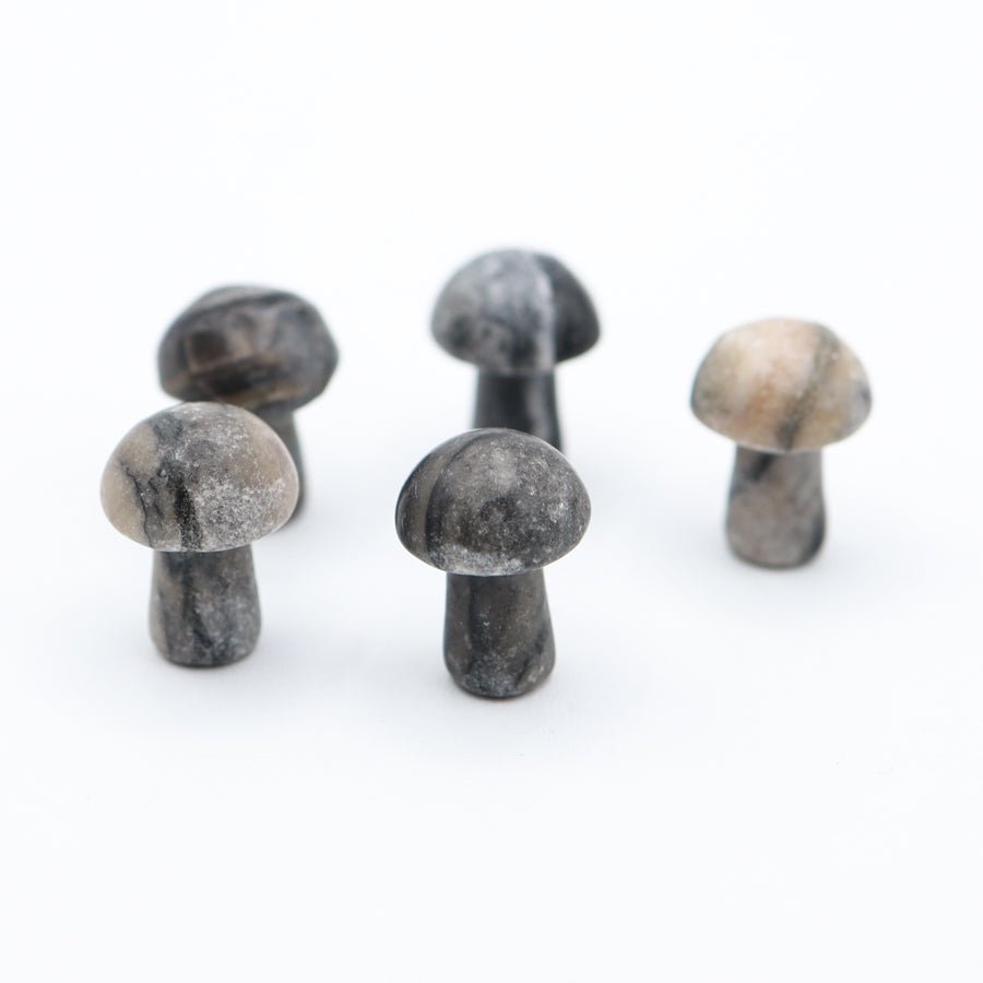 Mini Mushrooms - Evolve Supply Co. Evolve Supply Co.