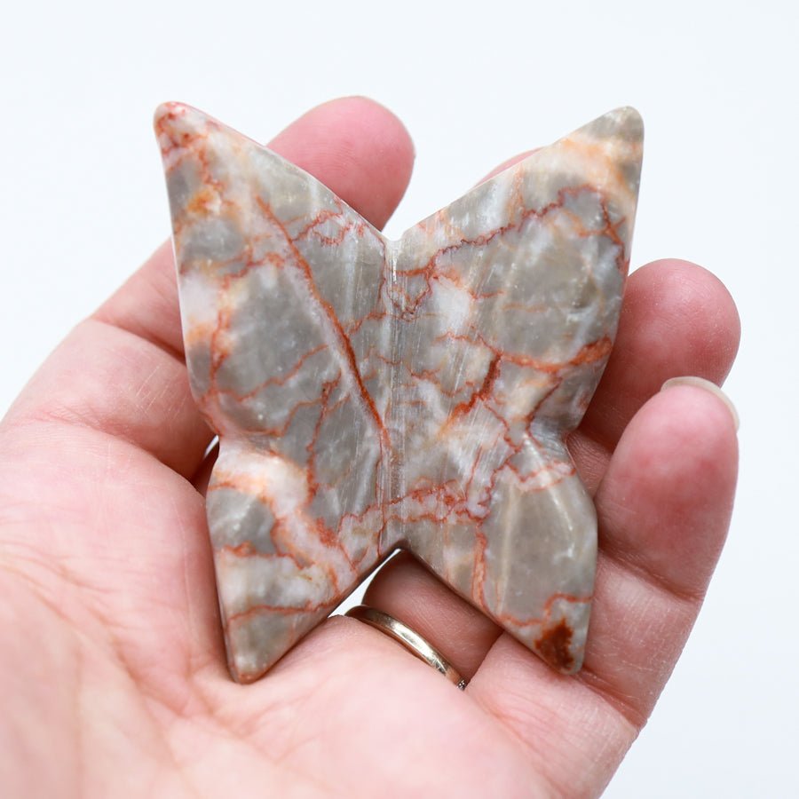 3D Chunky Freestanding Butterflies - Evolve Supply Co. Evolve Supply Co.