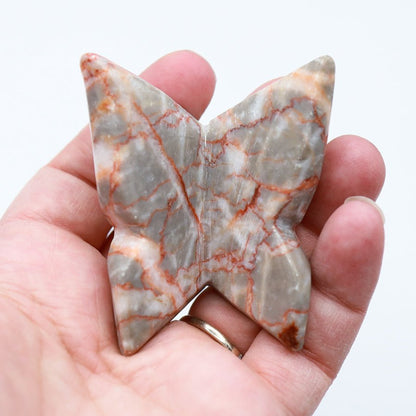 3D Chunky Freestanding Butterflies - Evolve Supply Co. Evolve Supply Co.