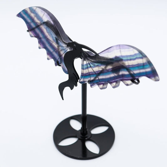 Rainbow Fluorite Dragon Wings A - Evolve Supply Co. Evolve Supply Co.