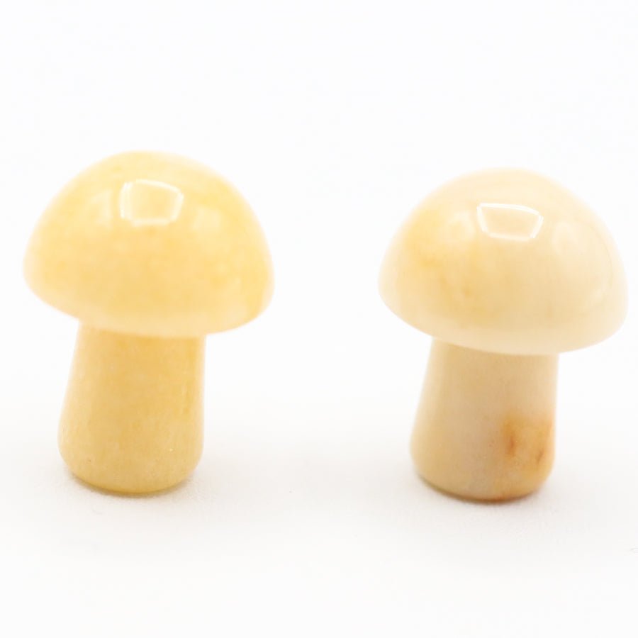 Mini Mushrooms - Evolve Supply Co. Evolve Supply Co.