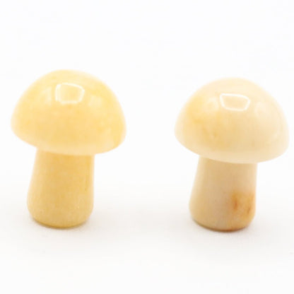 Mini Mushrooms - Evolve Supply Co. Evolve Supply Co.