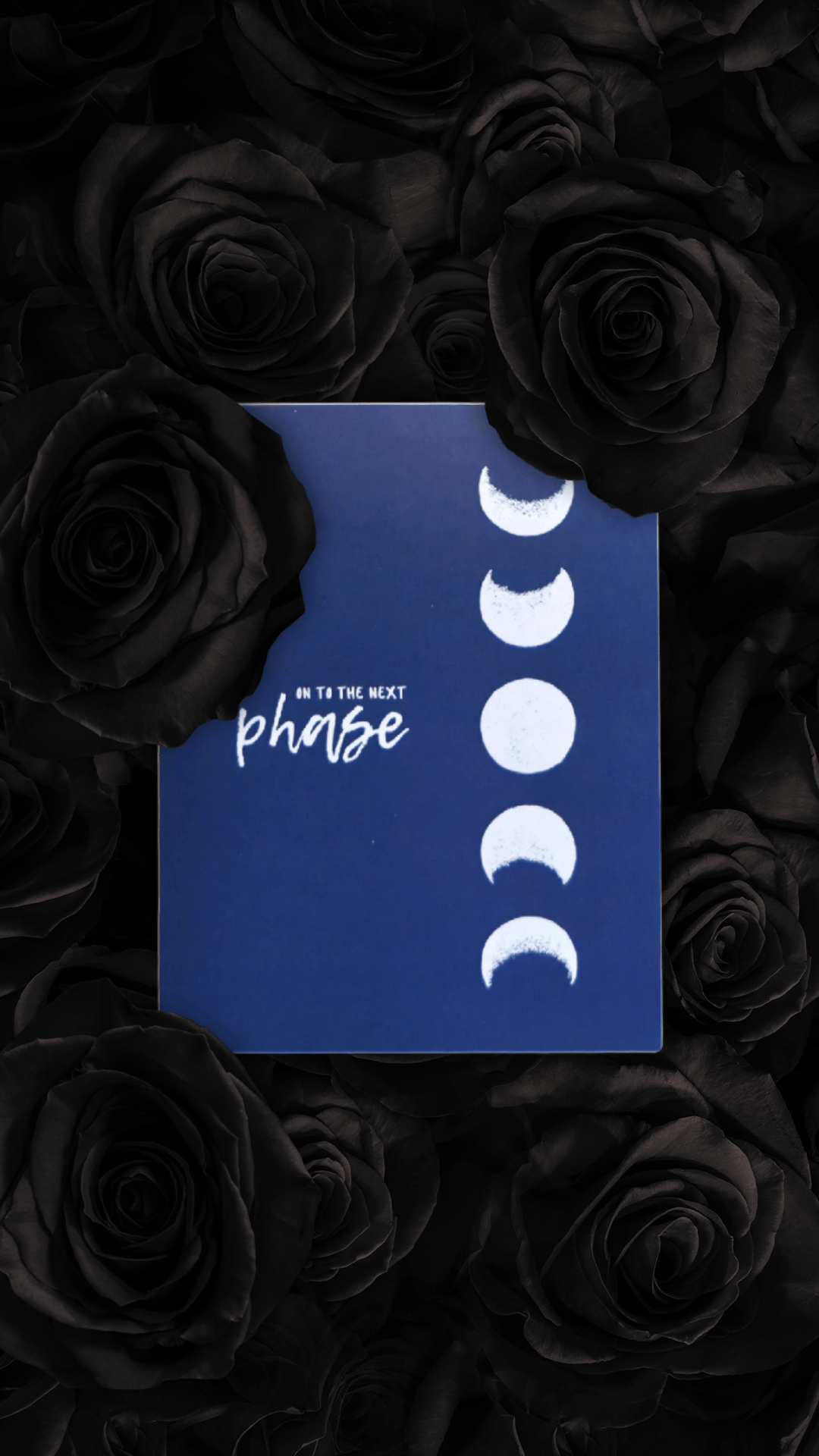 Next Phase Card - Evolve Supply Co. Evolve Supply Co.