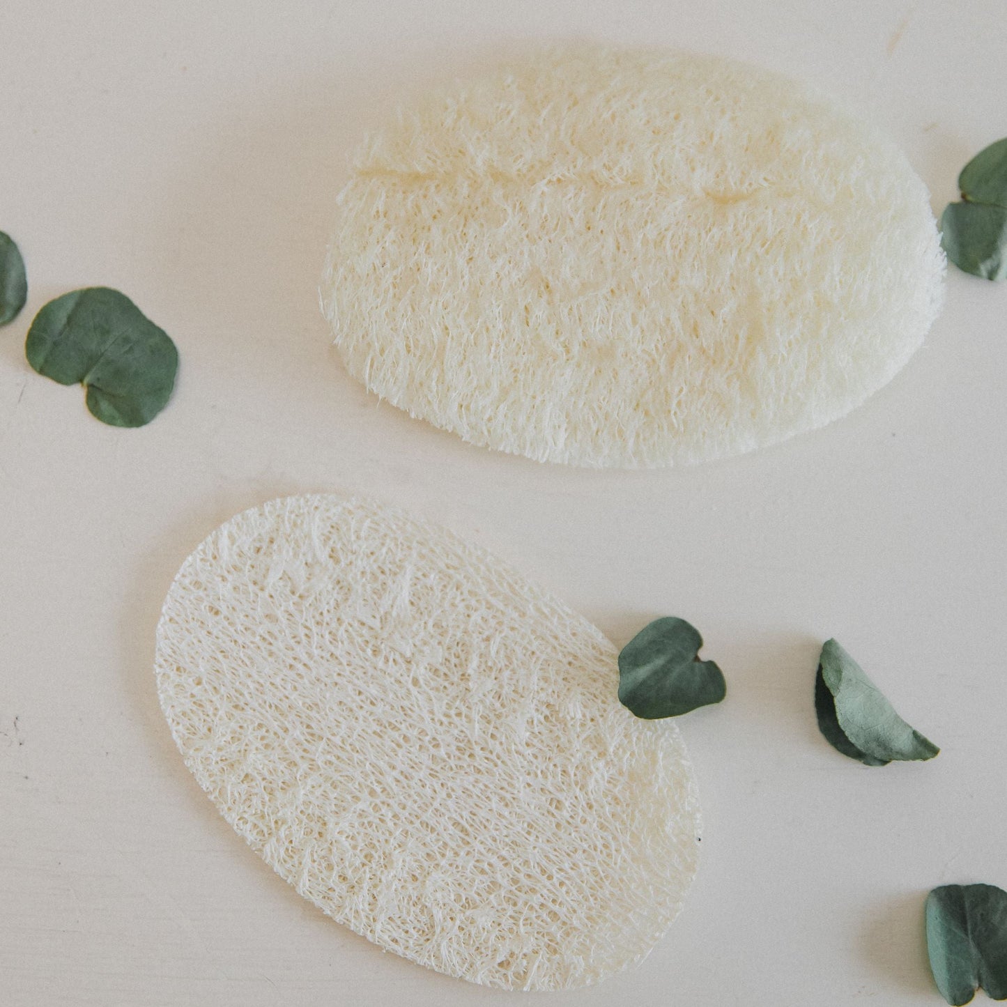 Loofah - Evolve Supply Co. Evolve Supply Co.