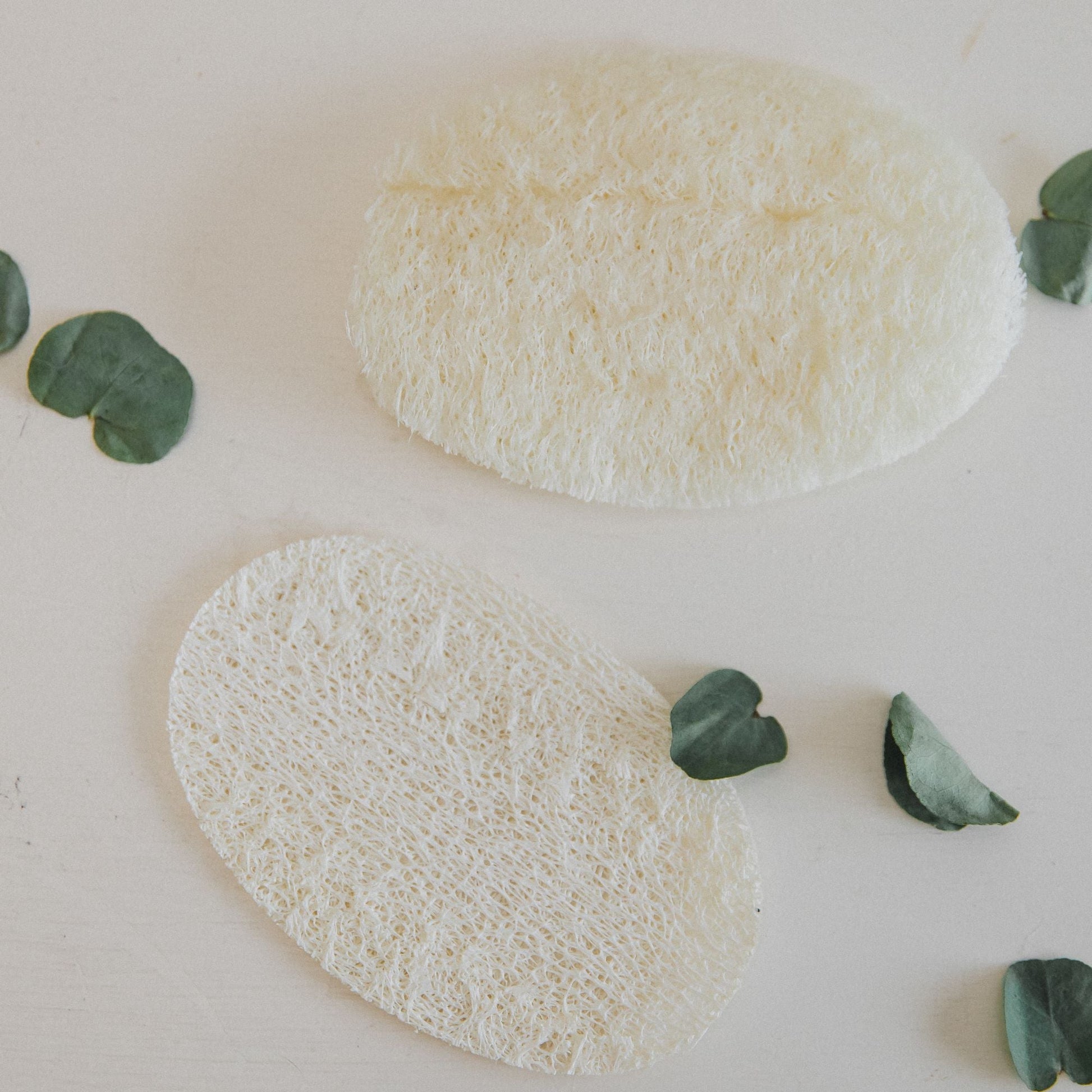 Loofah - Evolve Supply Co. Evolve Supply Co.
