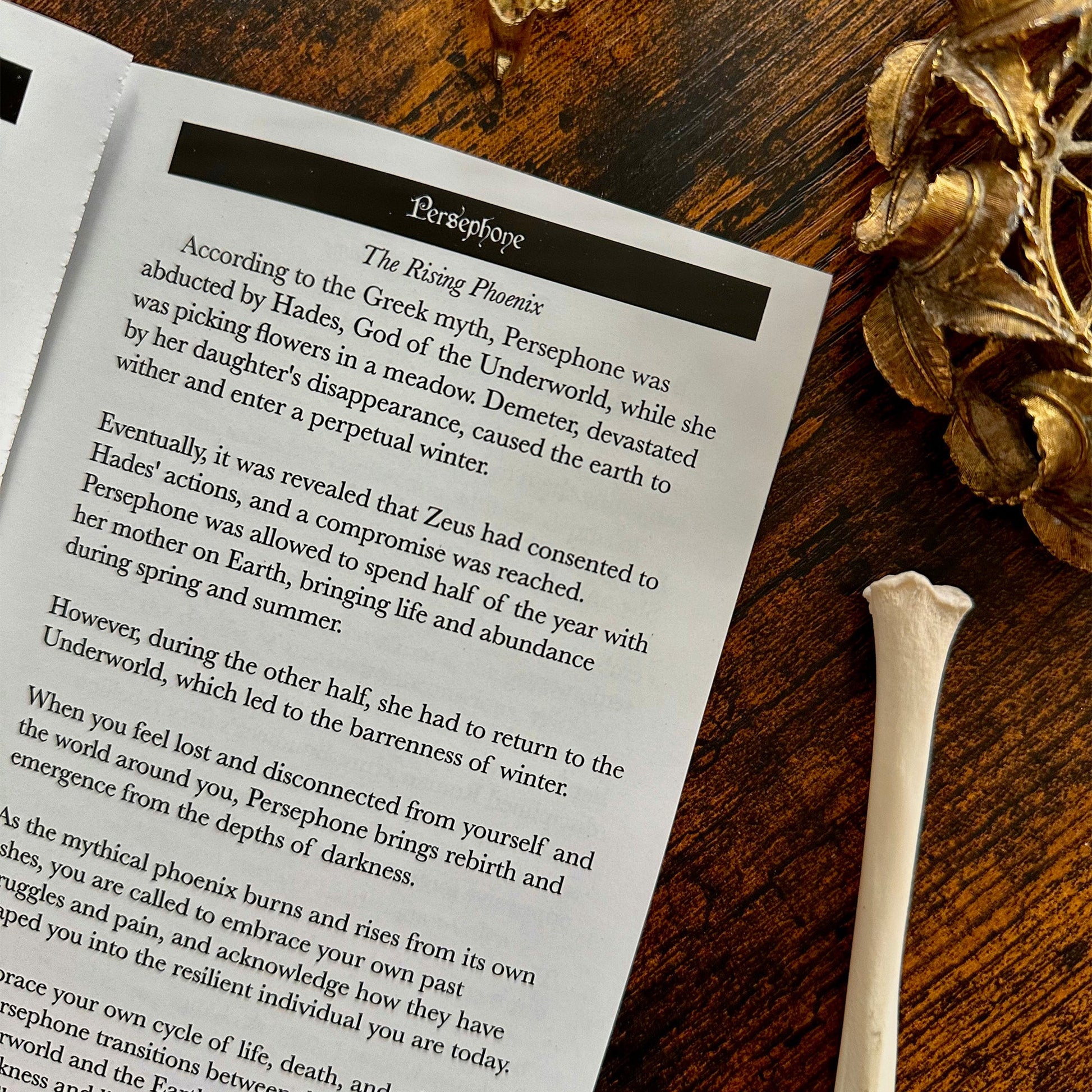 Obsidian Veil Oracle Deck (Collector's Edition) - Evolve Supply Co. Evolve Supply Co.