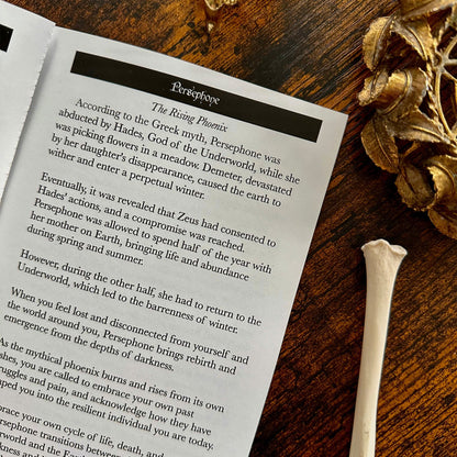 Obsidian Veil Oracle Deck (Collector's Edition) - Evolve Supply Co. Evolve Supply Co.