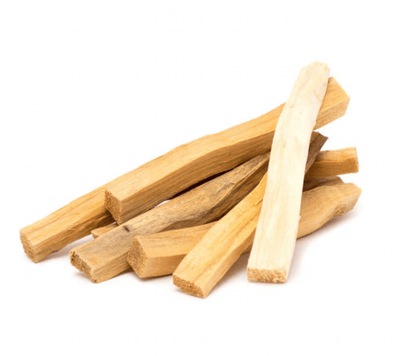 Palo Santo - Holy Wood - Evolve Supply Co. Evolve Supply Co.
