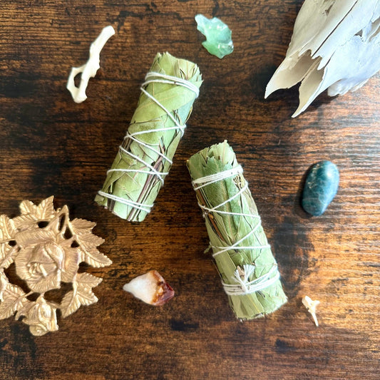 Eucalyptus Smudge Stick - Evolve Supply Co. Evolve Supply Co.