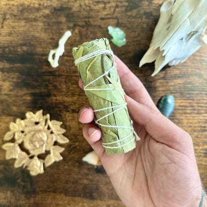 Eucalyptus Smudge Stick - Evolve Supply Co. Evolve Supply Co.